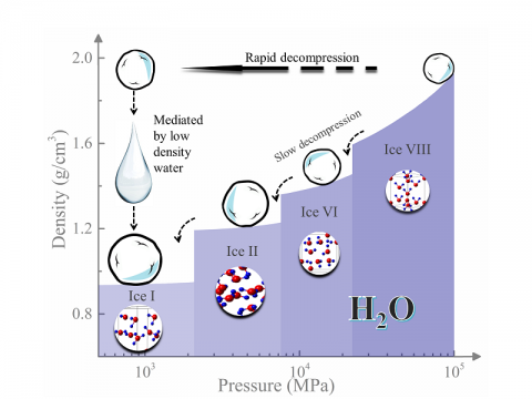 Caption: An illustration shows how rapid decompression is the key to observing low-density liquid water. Low density water mediates the rapid decompression transition from ice-VIII to ice Ic.