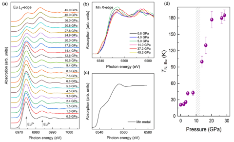 High-pressure XAS data of Eu L3 edge (a) and Mn K-edge (b) in EuMnSb2 in comparison with Eu metal (c). (d) Magnetic ordering temperature of Eu sublattice under pressure obtained from synchrotron Mössbauer experiment. 